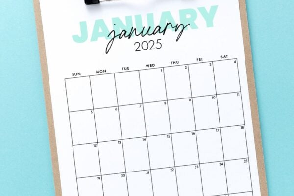 free printable cute january calendar PDF