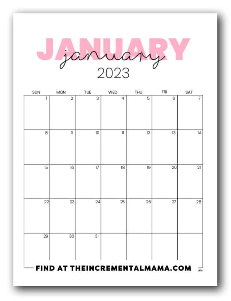 White And Pink Simple Floral Monthly Calendar 2023 Planner