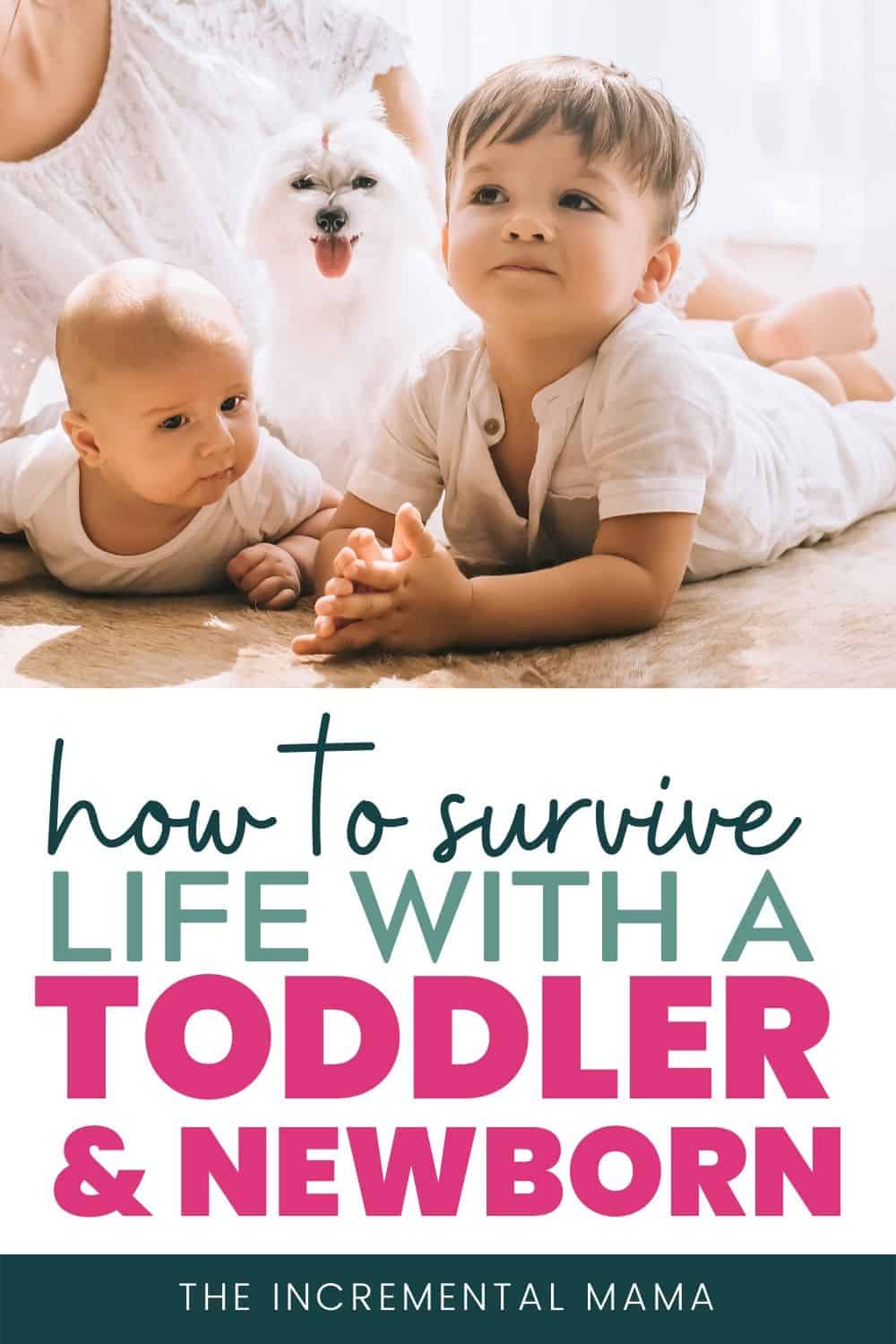 How to Survive a Newborn and Toddler - The Incremental Mama